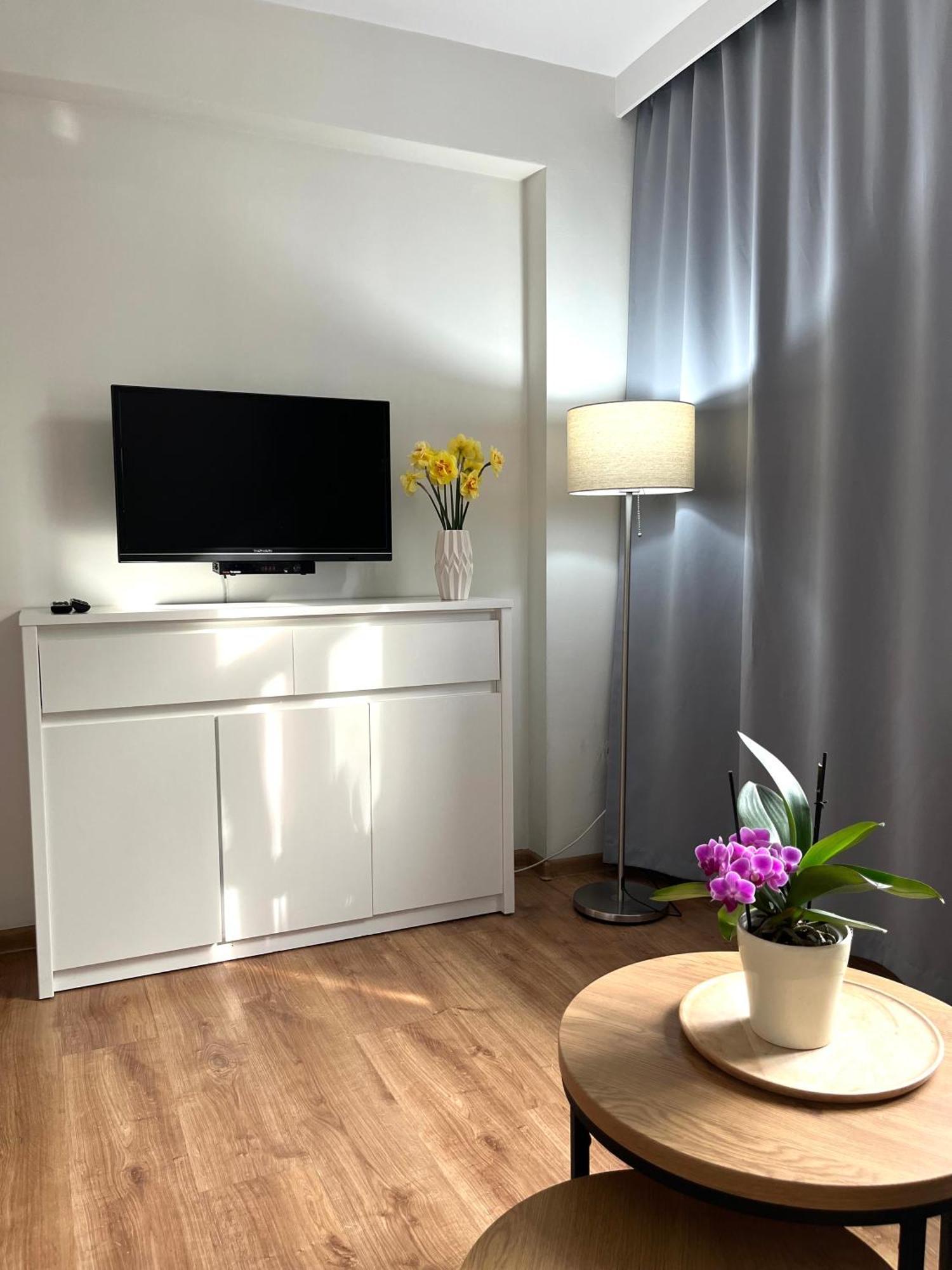 Noclegi Pod Klonem Sandomir Extérieur photo